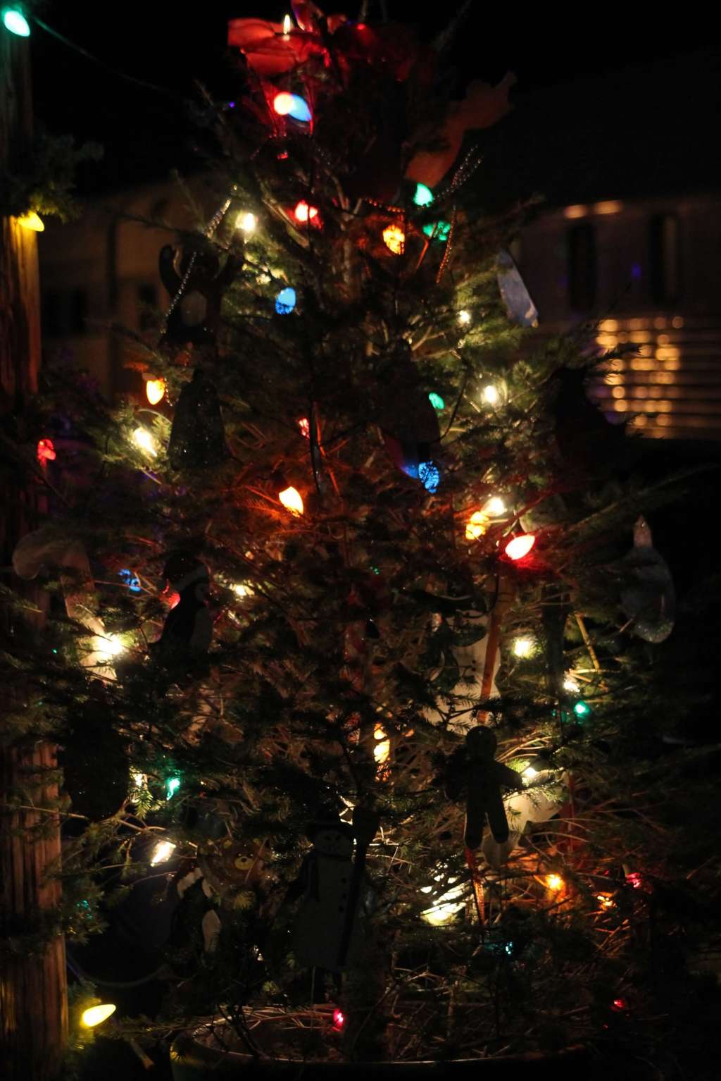 25 Days of Christmas Trees: Day 13–Ashley, Michigan