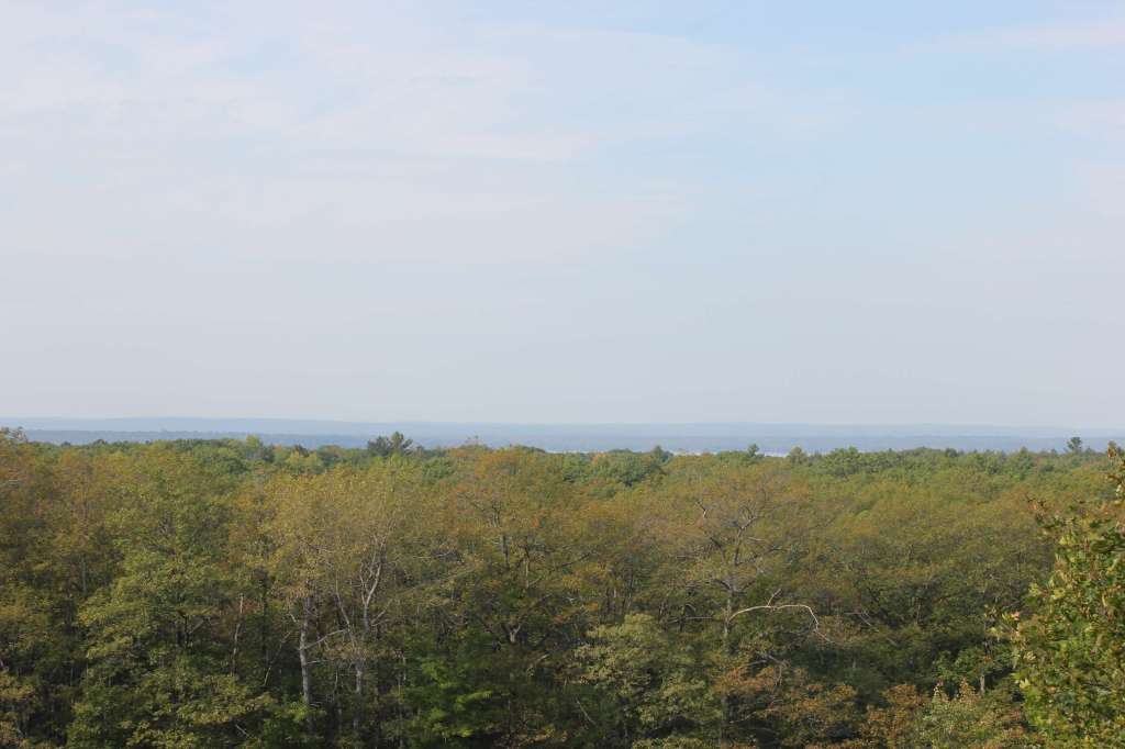 Tips for a Sunday&nbsp;Drive