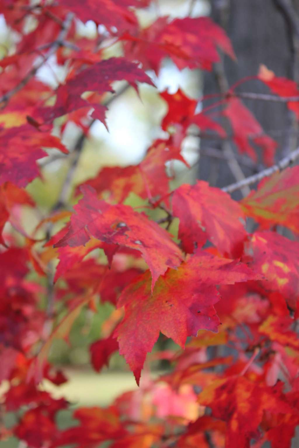 Tips for Being a Hometown Tourist in the&nbsp;Fall